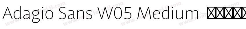 Adagio Sans W05 Medium字体转换